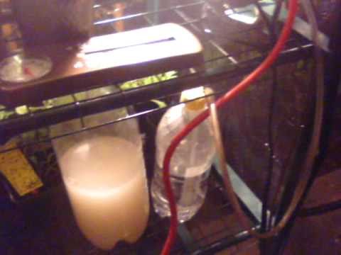 how to produce co2 for plants