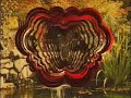 Video of RBFWS
