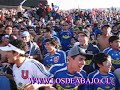 VIDEO CUERVO