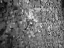 Dark Ne�fito - Inspiraciones (Quena Andina)