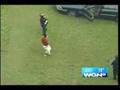 Police Chase And Taser A Drugged Out Kid ~ BWAHAHAHA