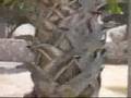 Caught on Tape - Rocket Landing in School Yard 