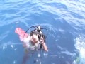 Rabaul Trip 07