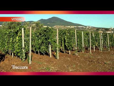 Alla scoperta dell’Aglianico del Vulture