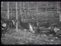The Great Train Robbery (of Ol Virginia)