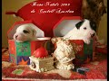 BUON 2010 da Castell'Anselmo!!!!!.wmv