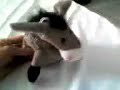 eDonkey is alive