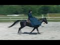 Sidesaddle Demonstration Sidesaddle Demonstration