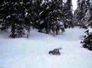 backflp with noselanding