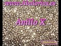 Anillo X