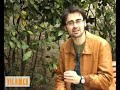 el vila real anima la lliga de futbol