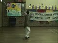 Taoist Master Dong Yang Internal Sword Taoist Master Dong Yang Internal Sword