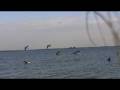 videos de 1 kill for our friends