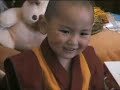 Phuntsok Rinpoche