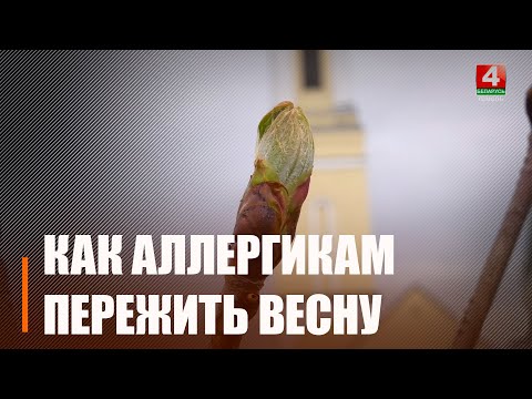 Расказваем, як перамагчы сезонную алергію видео
