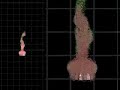 CFD Parachute dynamic meshes finite element Arbitrary Lagrange/Eulerian (ALE) formulations