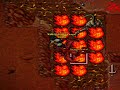 Kald v.s Dragon Lord