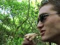 Muziek: WC Experience - Grieks Stuk...... / Clip: WC BEKKERS