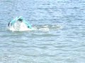 hannah-mermaid-in-cebu-pool.html