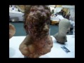 IMATS london 2008
