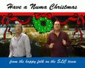 Numa SLC Christmas