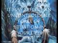 videos de A WOLF DREAM