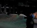 BURTON WORLD TOUR IN A-X 5
