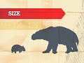 Stamp Collecting Month 2008 Megafauna