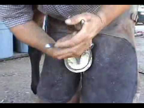 Hoof Care www.CocoCaballo.com