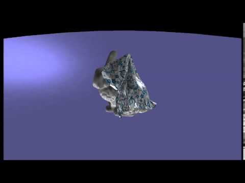 video1