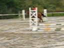 CSO du 02/11. Marine et Frelon en club 2  4 points 5eme