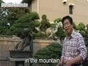 Kimura nói về cây thông núi