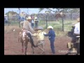 Especiales en Zacatecas (Zacatecas, Zacatecas)