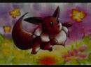 We need an Trainer - Eevee and Co.