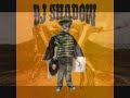  dj shadow flobots handlebars remix mo wax hip hop re mix djshadow flo bots