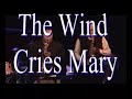 world saxophone quartet performs the music of jimi hendrix live in jimi's hometown of seattle, washington - the wind cries mary