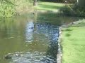 Sony Ericsson K660i - Video Sample 1