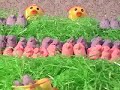 Peep Wars