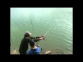submitted by KrzysztofKortus on Wed May 4 2011 at 10:27am
