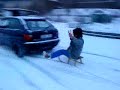 Crazy Schlittenfahrt