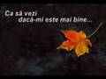  - videoclip