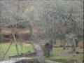 RIOBOO,VILAR DE BARRIO