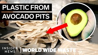 How Bioplastic Is Made From Avocado Waste