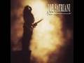 The Extremist-Joe Satrani