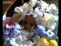 Mortalidade infantil em alagoas