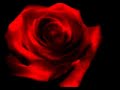 canadian contralto maureen forrester sings one charming night from the fairy queen by henry purcell

vienna radio orchestra, 
dirig� par brian priestman
