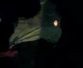 Light up another fire for shwerwood Light up another fire for shwerwood