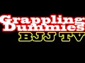 Grappling Dummies 4