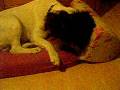 videos de nouveau 046