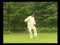 Taiji - Chen Style New 1st form (Wang Xian) Taiji - Chen Style New 1st form (Wang Xian)